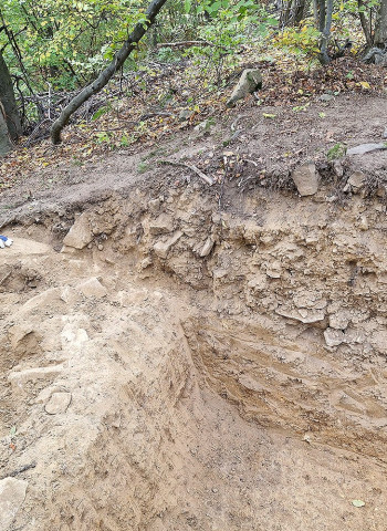 Fortaleza pré-histórica de 3 mil anos é descoberta na Croácia após venda ilegal de moedas