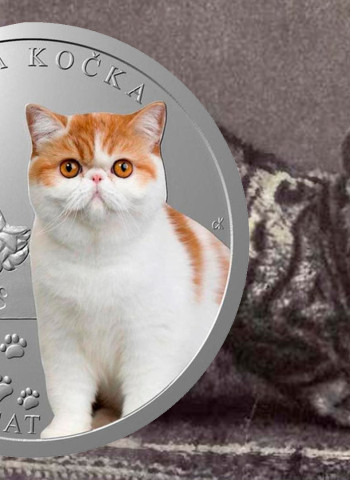 Dia do Gato: Moedas Comemorativas Celebram os Felinos e Viram Itens de Coleção