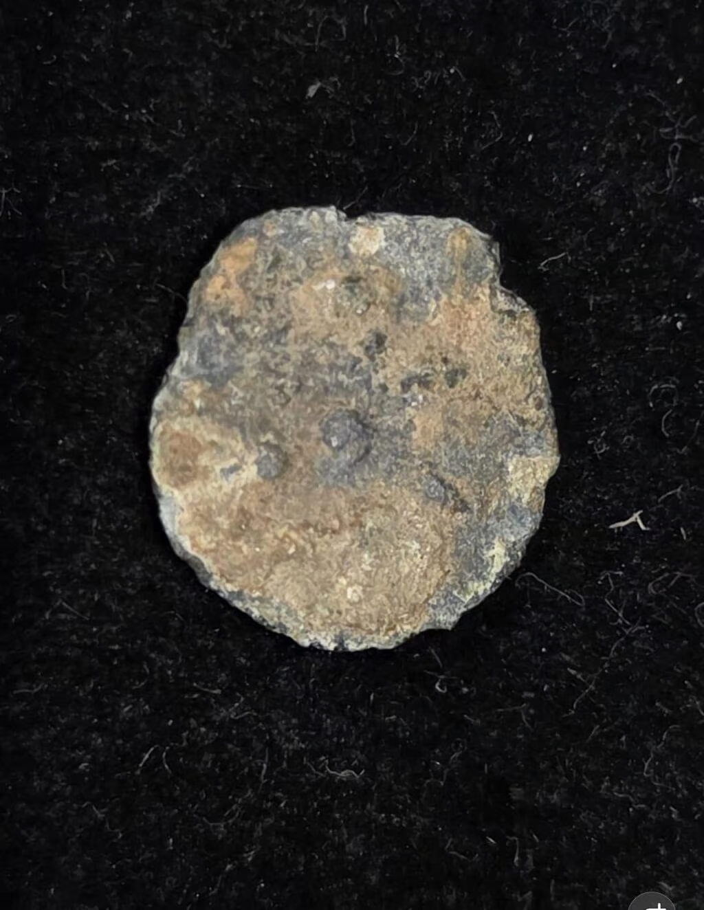 Turista dos EUA encontra moeda rara da época do Segundo Templo em Shiló