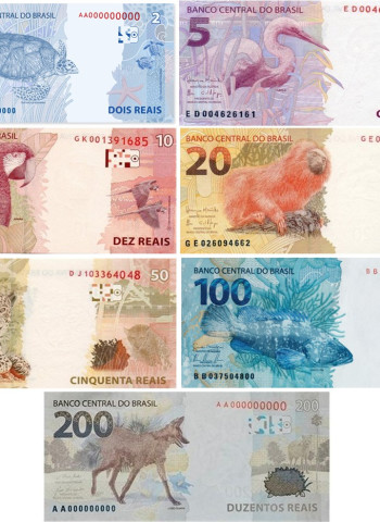 O que é uma cédula flor de estampa?