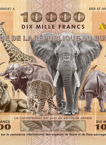 Burundi emite maior cédula do mundo para marcar 50 anos de convenção global de proteção à vida selvagem