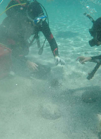 Mergulhador descobre tesouro de moedas romanas de 1.600 anos que pode revelar naufrágio oculto