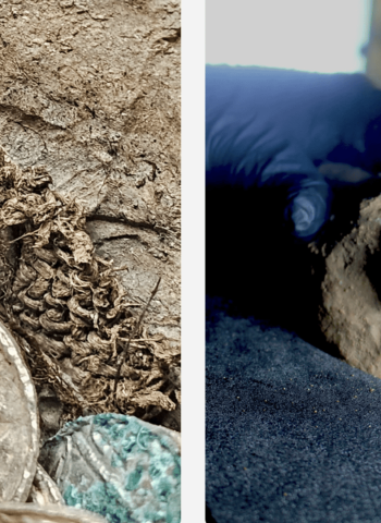 Tesouro de moedas do século 11 é descoberto em obra de usina nuclear no Reino Unido