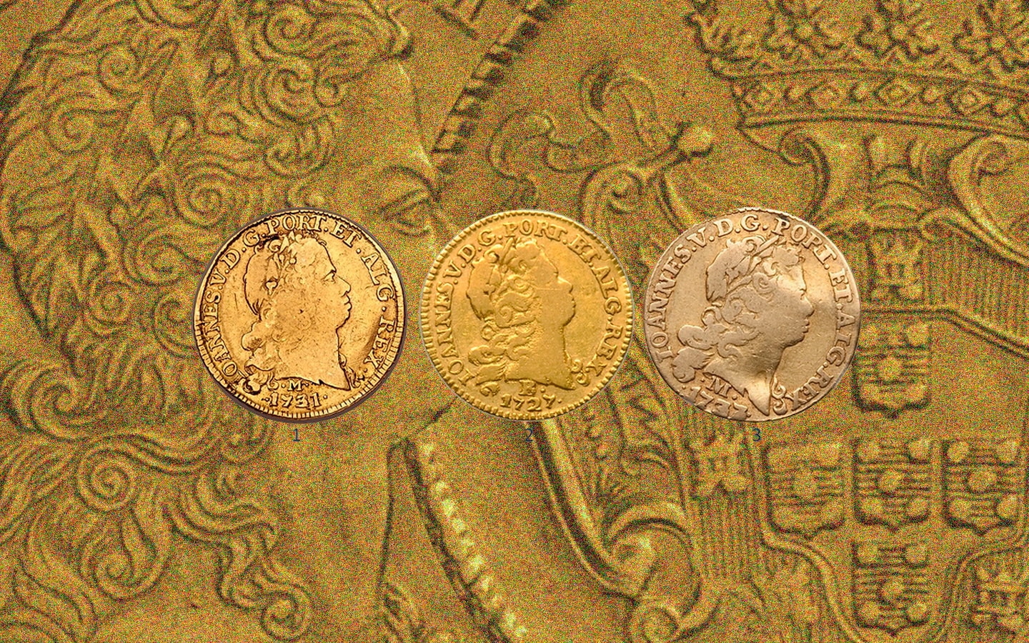 Sua Moeda Pode Valer Mais: Entenda os Níveis de Conservação