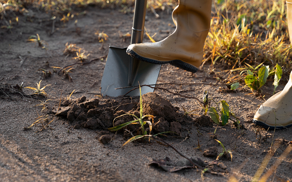 Tesouro medieval com 20 mil moedas é achado por pescador na Suécia