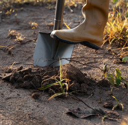 Tesouro medieval com 20 mil moedas é achado por pescador na Suécia