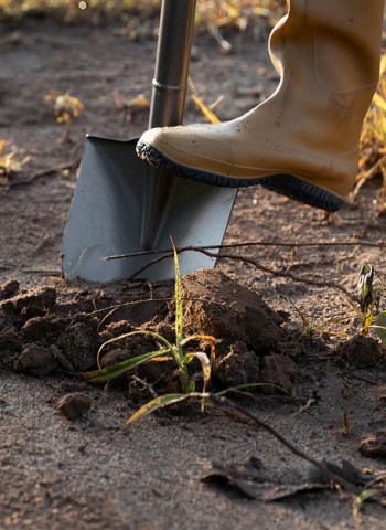 Tesouro medieval com 20 mil moedas é achado por pescador na Suécia