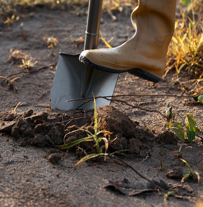 Tesouro medieval com 20 mil moedas é achado por pescador na Suécia