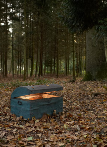 Mulher acha tesouro medieval com mais de 2 mil moedas na República Tcheca