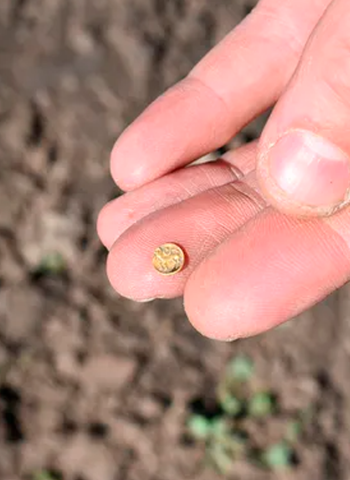 Ouro celta e joias raras revelam centro comercial de 2 mil anos na República Tcheca
