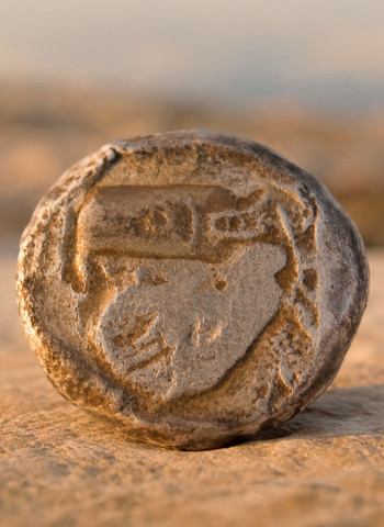 Moeda de Salamina achada em Ashdod revela circulação de dinheiro no Mediterrâneo há 2.500 anos
