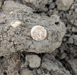 Professor descobre tesouro de ouro da Idade do Ferro em Suffolk