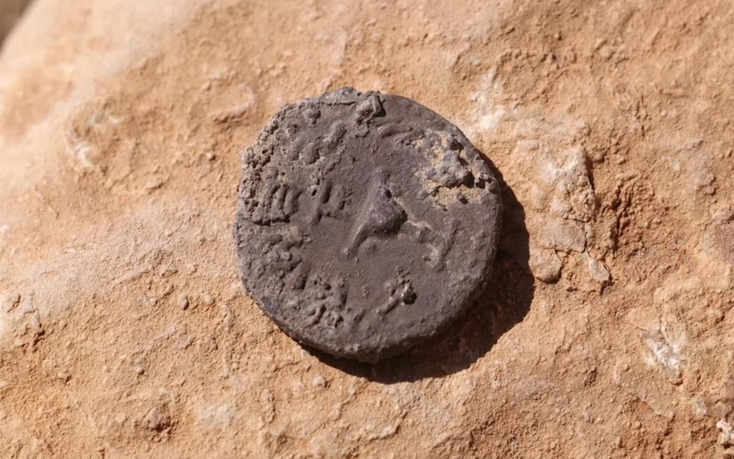 Moeda rara de meio shekel é encontrada no Deserto da Judeia