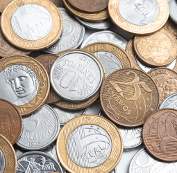 Guia prático para começar na numismática no Brasil